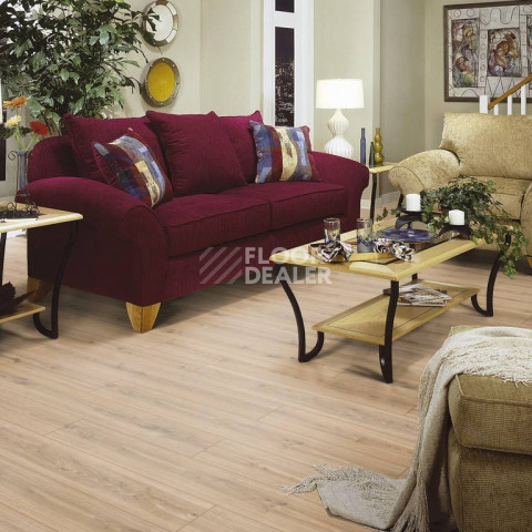 Kronotex Robusto 12мм d3073 Дуб Фалсбург фото 2 | FLOORDEALER