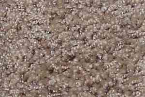 Ковролин Bell Rock Beaulieu of America 2685 фото  | FLOORDEALER
