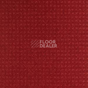 Ковролин Balsan Territoires Atrium 571 фото 1 | FLOORDEALER