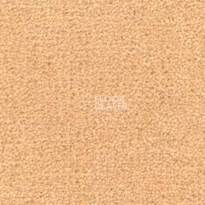 Ковролин Radici Montecarlo 49 фото 1 | FLOORDEALER