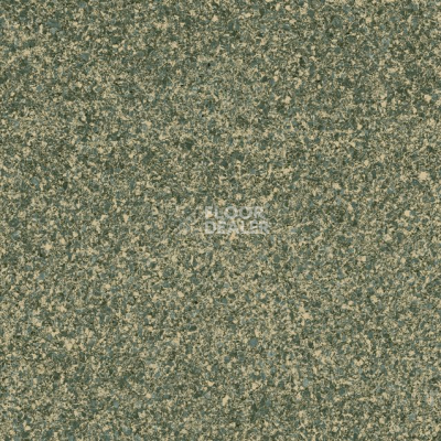 Линолеум Grabo Terrana Top Extra 4139-299 фото 1 | FLOORDEALER