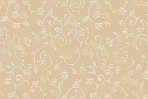 Ковролин Agnella Natural Villosa Beige фото  | FLOORDEALER