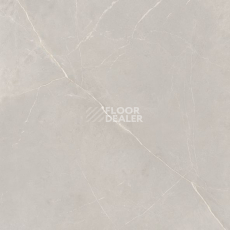 Nolana ( Нолана ) 60 x 60 x10 NL02 фото 10 | FLOORDEALER