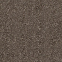 Ковролин Tarkett Dragon Dragon 31431  | FLOORDEALER