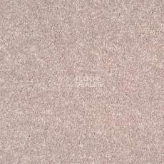 Ковролин Tarkett Dragon Dragon 82131 фото 1 | FLOORDEALER
