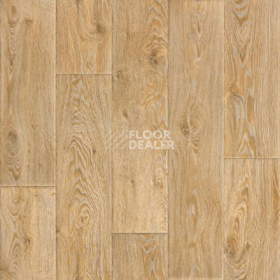Линолеум Tarkett Evolution Raymond 2 фото 1 | FLOORDEALER
