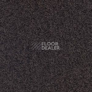 Ковровая плитка Balsan Serenite Dalle 981 Serenite Dalle фото 1 | FLOORDEALER