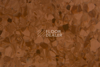 Tarkett Primo Plus 305 фото 2 | FLOORDEALER