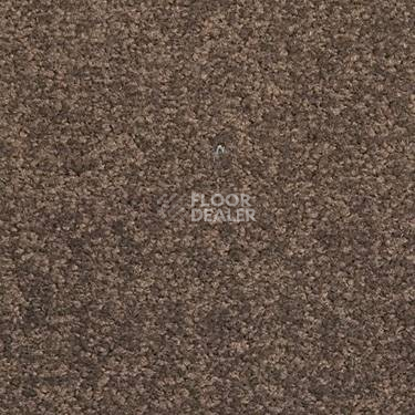 Ковровая плитка Modulyss Cambridge 830 фото 1 | FLOORDEALER