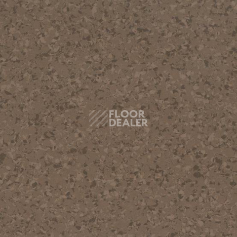 Линолеум Gerflor Mipolam Affinity EL7 4144 фото 1 | FLOORDEALER
