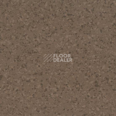 Линолеум Gerflor Mipolam Affinity EL7 4144 фото 1 | FLOORDEALER