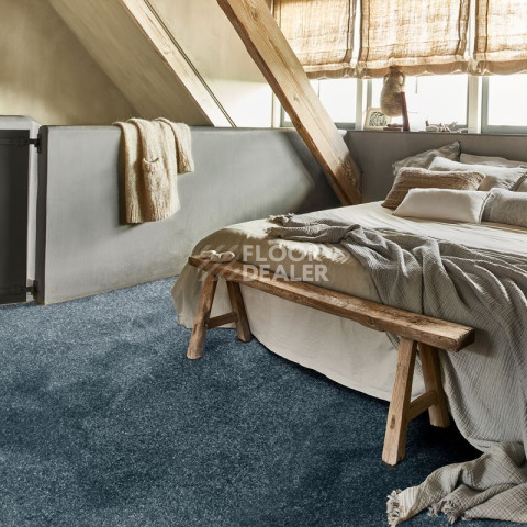 AW Invictus Romelus / Ромелус 75 фото 2 | FLOORDEALER