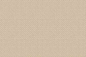 Ковролин Agnella Natural Dolomit Beige фото  | FLOORDEALER
