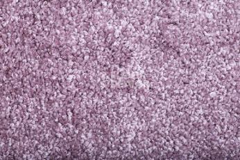 Ковролин Tarkett Diva 77081 фото 1 | FLOORDEALER