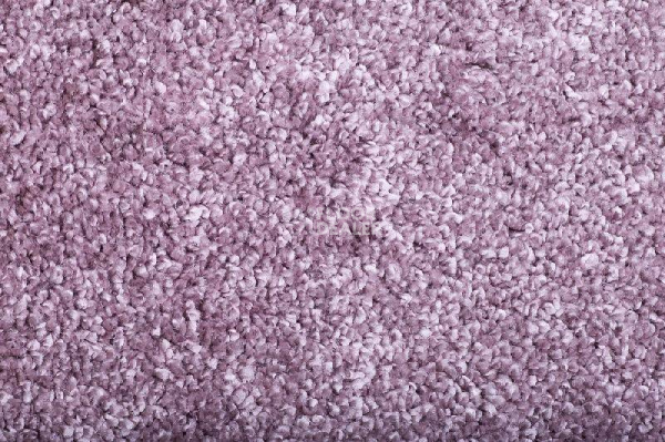 Ковролин Tarkett Diva 77081 фото 1 | FLOORDEALER