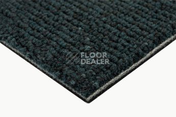 IVC Alternate 699 фото 4 | FLOORDEALER