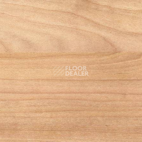 Линолеум Gerflor Taraflex Performance Wood 6350_Light_Cherry_Design фото 1 | FLOORDEALER