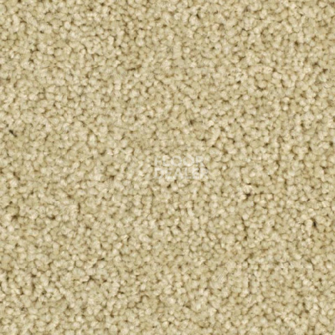 Ковролин Balsan Serenite 620 фото 1 | FLOORDEALER