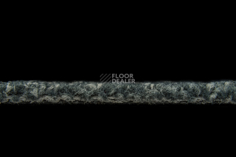 Balsan Season - Summer / Winter 975 фото 3 | FLOORDEALER