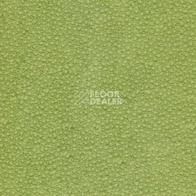 Линолеум Grabo Acoustic Pro 4276_462_4 фото 1 | FLOORDEALER