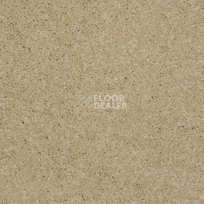 Ковролин Shaw Design Texture Platinum 220 фото 1 | FLOORDEALER