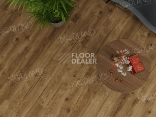 Norland Elegant Strong 12мм Дуб Корсика LF302-18 фото 2 | FLOORDEALER