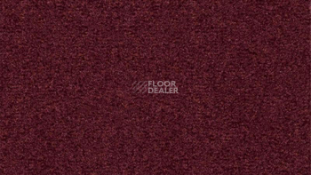 Ковролин Vorwerk Passion 1044 Vorwerk 1m64 фото 1 | FLOORDEALER