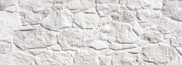 Керамогранит Terranova 202718 389 White 32x89 фото 1 | FLOORDEALER