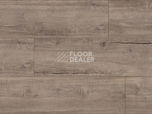 Kronotex Exquisit Plus d40412 Дуб Бодега Серый фото 3 | FLOORDEALER