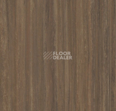 Линолеум Forbo Marmoleum Striato 5254 red horse фото 1 | FLOORDEALER