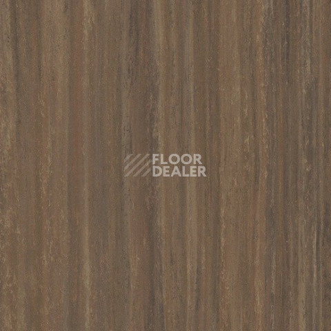 Линолеум Forbo Marmoleum Striato 5254 red horse фото 1 | FLOORDEALER