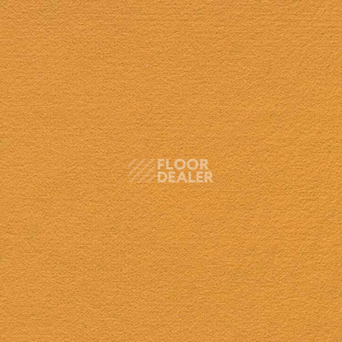 Ковролин Finett Feinwerk 503513 фото 1 | FLOORDEALER