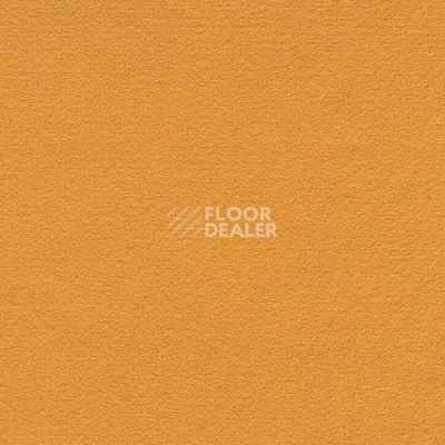 Ковролин Finett Feinwerk 503513 фото 1 | FLOORDEALER