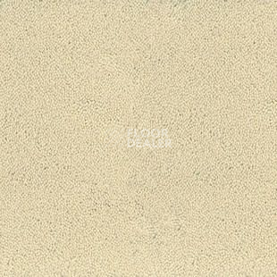 Ковролин Desso Asteranne 2918 фото 1 | FLOORDEALER