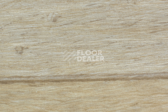 Линолеум Forbo Emerald Wood Fr 8703 фото 1 | FLOORDEALER