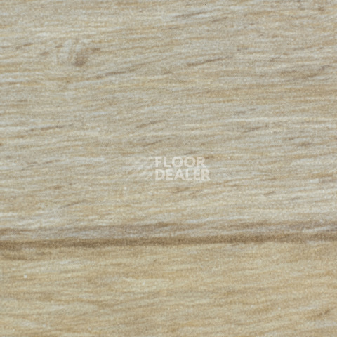 Линолеум Forbo Emerald Wood Fr 8703 фото 1 | FLOORDEALER