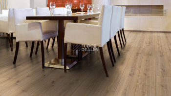 Kronotex Robusto 12мм d3073 Дуб Фалсбург фото 6 | FLOORDEALER