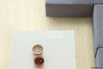 Wood Xl замковое Oak White Markant фото 2 | FLOORDEALER