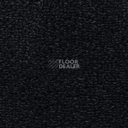 Ковролин Edel Tamino 181 фото 1 | FLOORDEALER