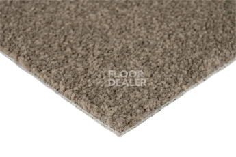 Standard Carpets Mountain View 4398 фото 5 | FLOORDEALER