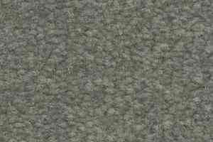 Ковролин Shaw Bradberry 30 752 фото  | FLOORDEALER