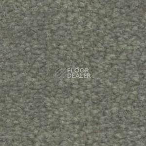 Ковролин Shaw Bradberry 30 752 фото 1 | FLOORDEALER