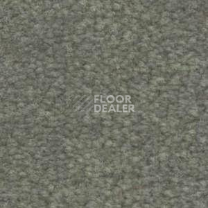 Ковролин Shaw Bradberry 30 752 фото 1 | FLOORDEALER