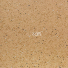 Линолеум Tarkett iQ Aria CARII-660 фото 1 | FLOORDEALER