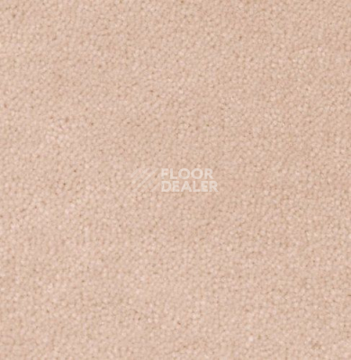 Ковролин Creatuft Sheba 1108 фото 1 | FLOORDEALER