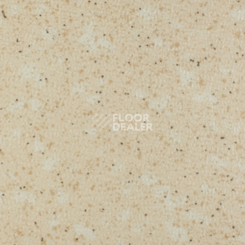 Линолеум Tarkett Acczent Pro Aspect 4 фото 1 | FLOORDEALER