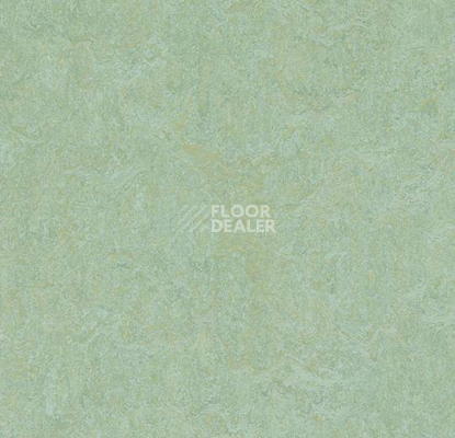 Кварцвиниловые полы Forbo Marmoleum Modular Colour 3882 фото 1 | FLOORDEALER