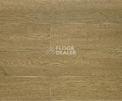Ламинат Biela Cbm Silence 10мм 728-10 Дуб Вельцов фото 1 | FLOORDEALER