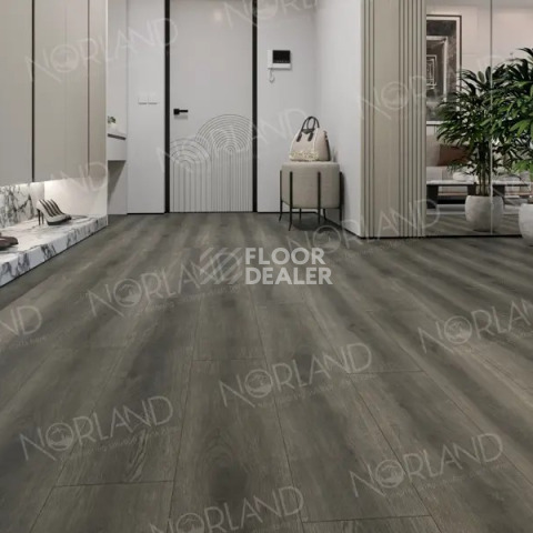 Norland Neowood 8мм Glomma 2001-1 фото 2 | FLOORDEALER