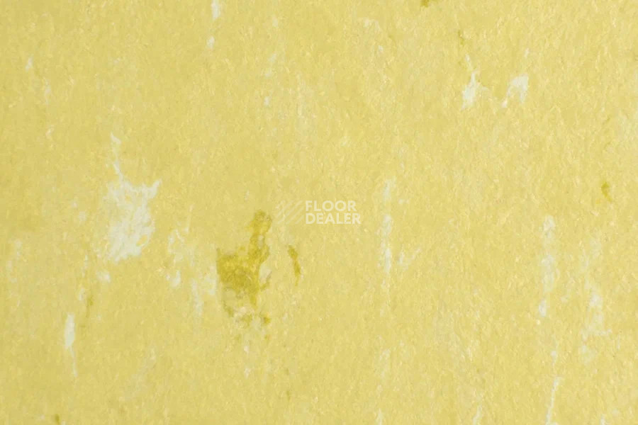 Forbo Marmoleum Solid Piano 3634-363435 meadow фото 2 | FLOORDEALER